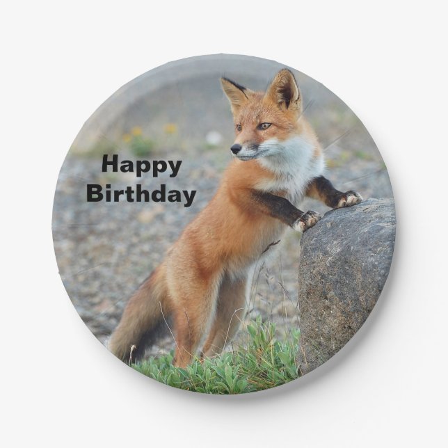 Standing Red Fox Birthday Paper Plate (Front)