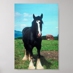 Standing Shire Poster