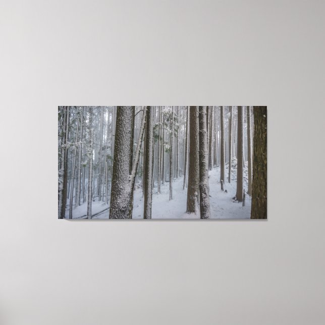 Standing Tall #2 Canvas Print (Front)