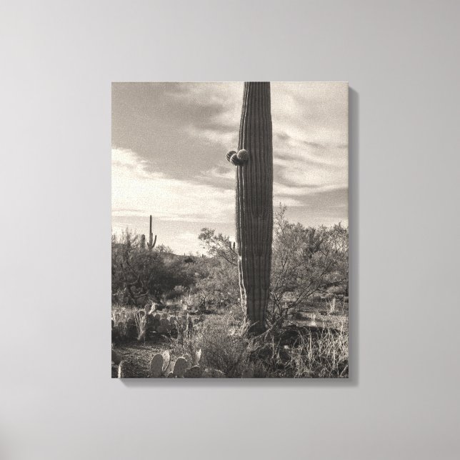 Standing Tall Canvas Print (Front)