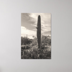 Standing Tall Canvas Print