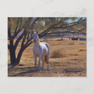 Standing Tall Postcard