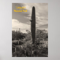Standing Tall