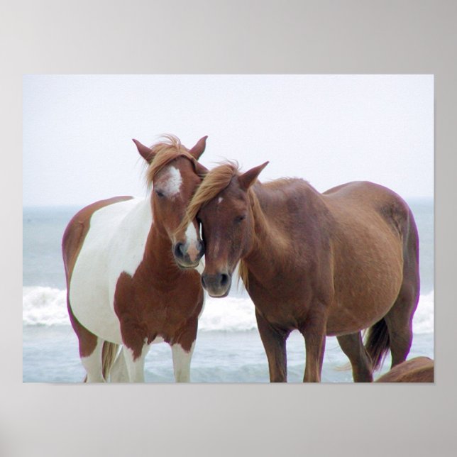Standing Together Poster (Front)