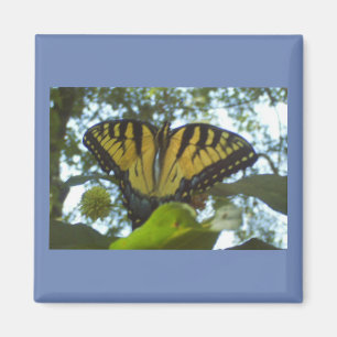 Standing Yellow Monarch Magnet
