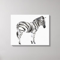 Standing Zebra