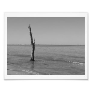 Stands Alone Photo Print