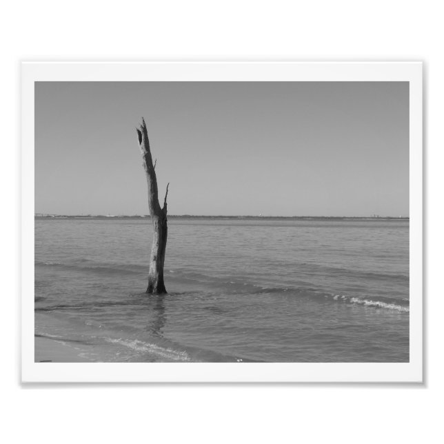 Stands Alone Photo Print (Front)
