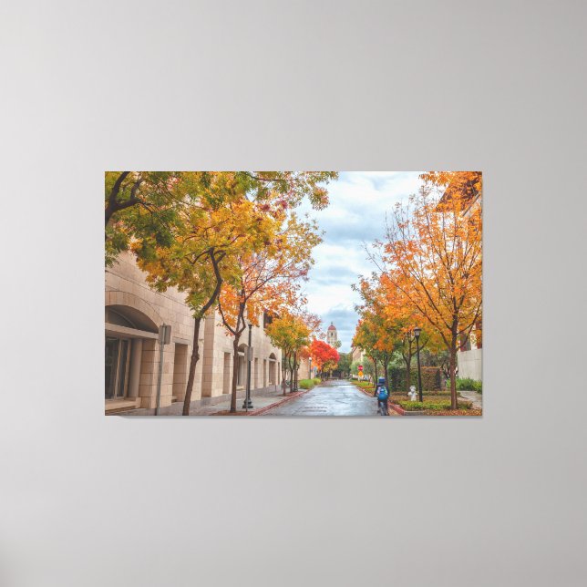 Stanford Campus Fall Canvas Print (Front)