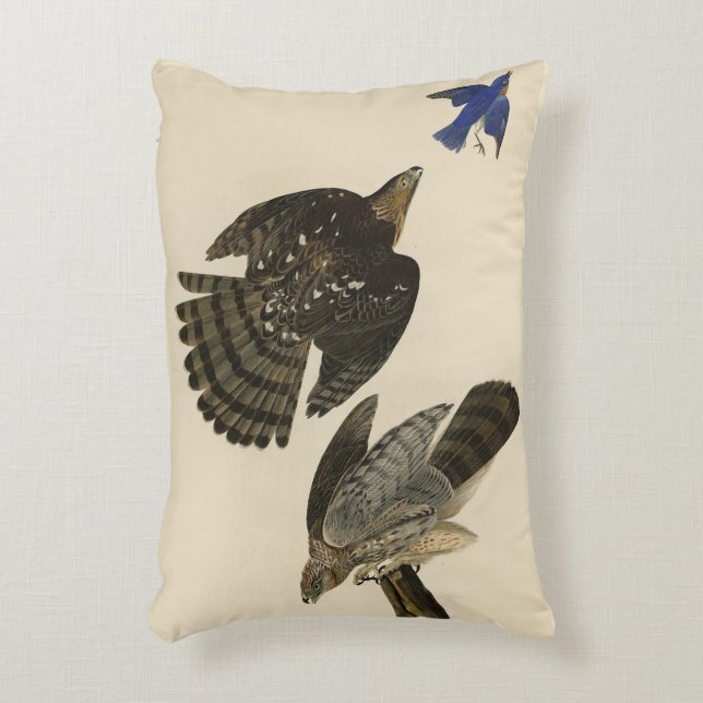 Stanley (Cooper's) Hawk Audubon's Birds of America Decorative Cushion (Front(Vertical))