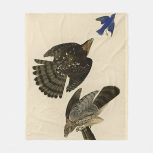 Stanley (Cooper's) Hawk Audubon's Birds of America Fleece Blanket