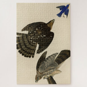 Stanley (Cooper's) Hawk Audubon's Birds of America Jigsaw Puzzle