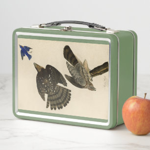 Stanley (Cooper's) Hawk Audubon's Birds of America Metal Lunch Box