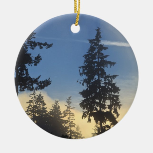 Stanley Park, woods, marine layer fog rolling in Ceramic Tree Decoration (Front)