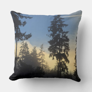 Stanley Park, woods, marine layer fog rolling in Cushion
