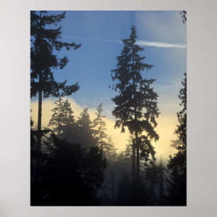 Stanley Park, woods, marine layer fog rolling in Poster