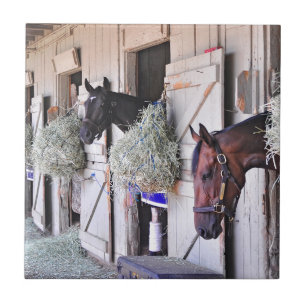 Stanwyck by Empire Maker Tile