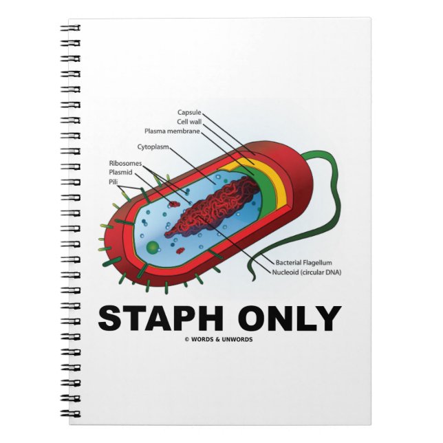 Staph Only (Bacterium Diagram Prokaryote Bacteria) Spiral Notebook (Front)