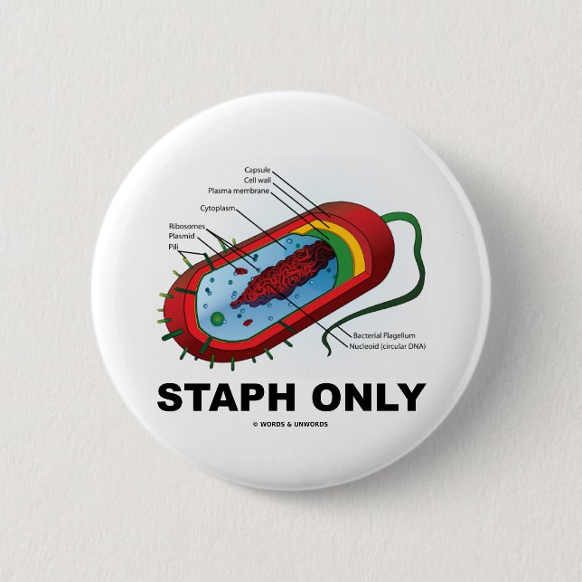 Staph Only (Prokaryote Health Medicine Humour) 6 Cm Round Badge (Front)