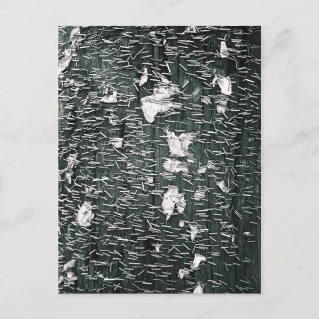 Staples Postcard (Front)