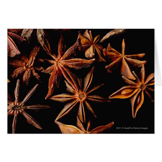 Star anise (Front Horizontal)