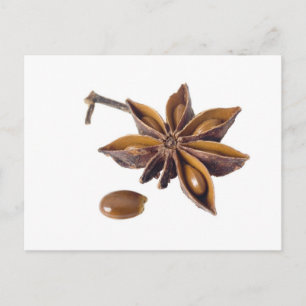 Star anise postcard