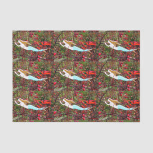 star carrying mermaids tissue paper