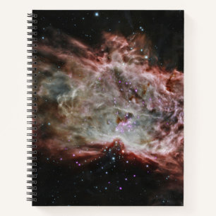 Star Clusters In The Centre Of The Flame Nebula. Notebook