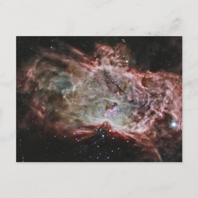 Star Clusters In The Centre Of The Flame Nebula. Postcard (Front)