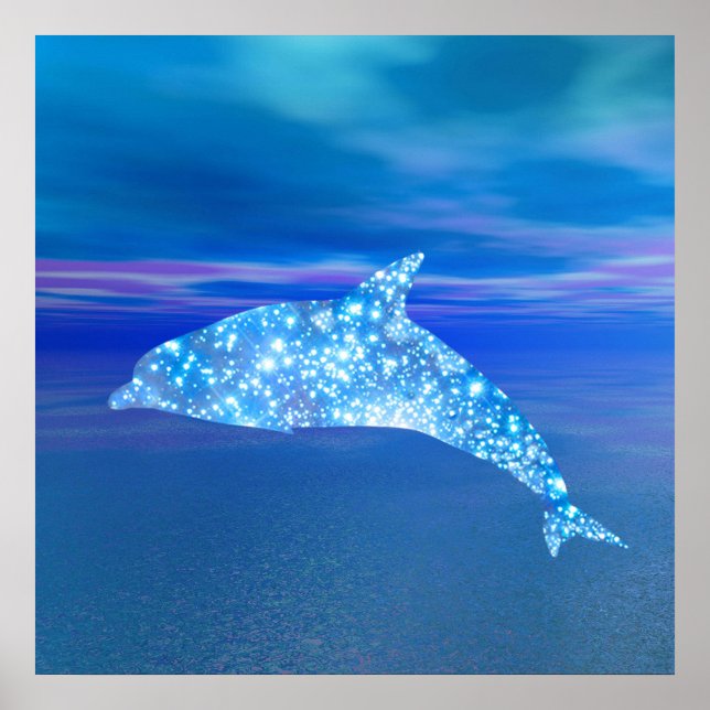 Star Dolphin Poster (Front)