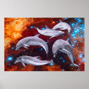 Star Dolphins Poster