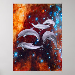 Star Dolphins Poster
