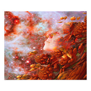 Star Dream Photo Print