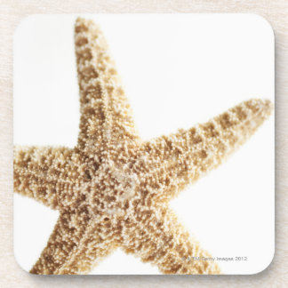 Star fish coaster