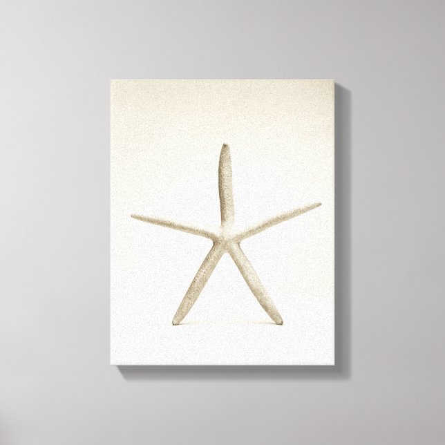 Star fish shell canvas print (Front)