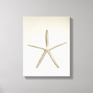 Star fish shell canvas print
