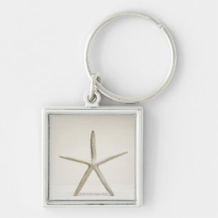 Star fish shell key ring
