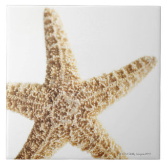Star fish tile