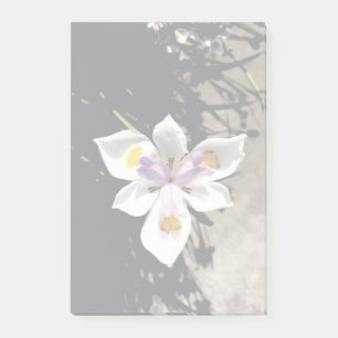 Star Flower Post-it Notes