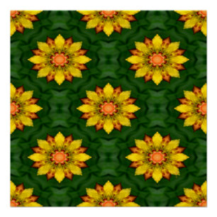 Star Flowers... Poster