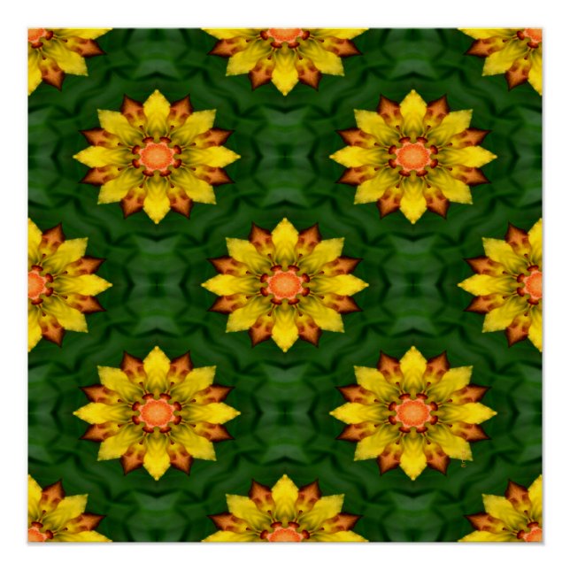 Star Flowers... Poster (Front)