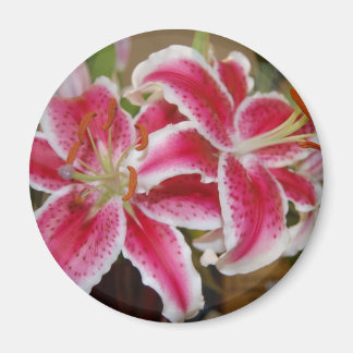 Star Gazer Lily Round Magnet