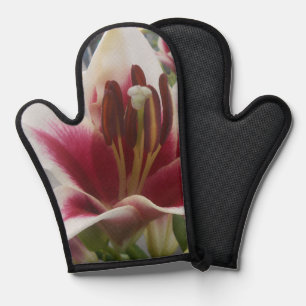 Star Gazer Oven Mitt