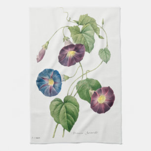 Star-glory Morning–glory, Pierre-Joseph Redouté Tea Towel