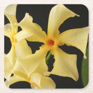 Star Jasmine Flower coastercnm Square Paper Coaster