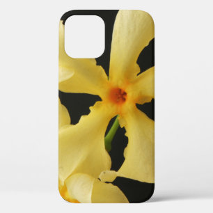Star Jasmine Flower ipha iPhone 12 Case