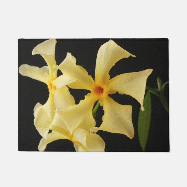 Star Jasmine Flowers dmcna Doormat (Front)