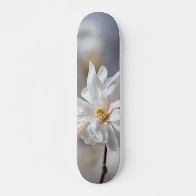 Star Magnolia Bloom Skateboard (Front)
