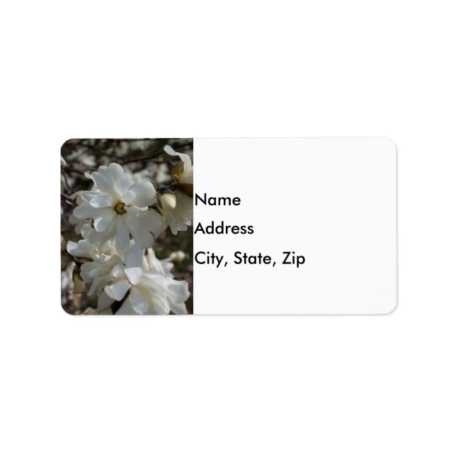Star Magnolia Blooms Label (Front)