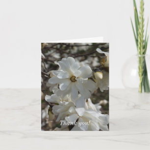 Star Magnolia Blooms Thank You Card